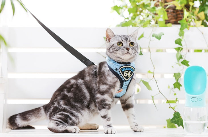 Nylon Dog Harness & Leash Set – Reflective, Adjustable, S & M
