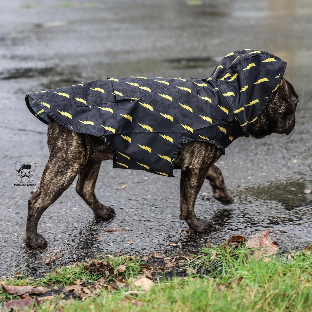 Pawgwarts Dog Poncho – Lightning Bolt Pet Rain Coat | Cute Dog Outfit