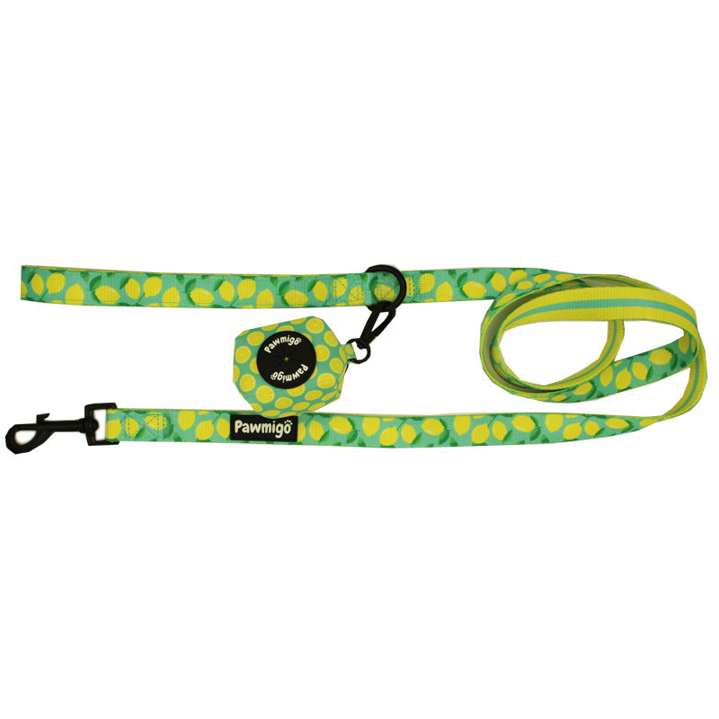 Worth The Squeeze Dog Leash Kit – Cute Citrus-Themed Pet Leash Set