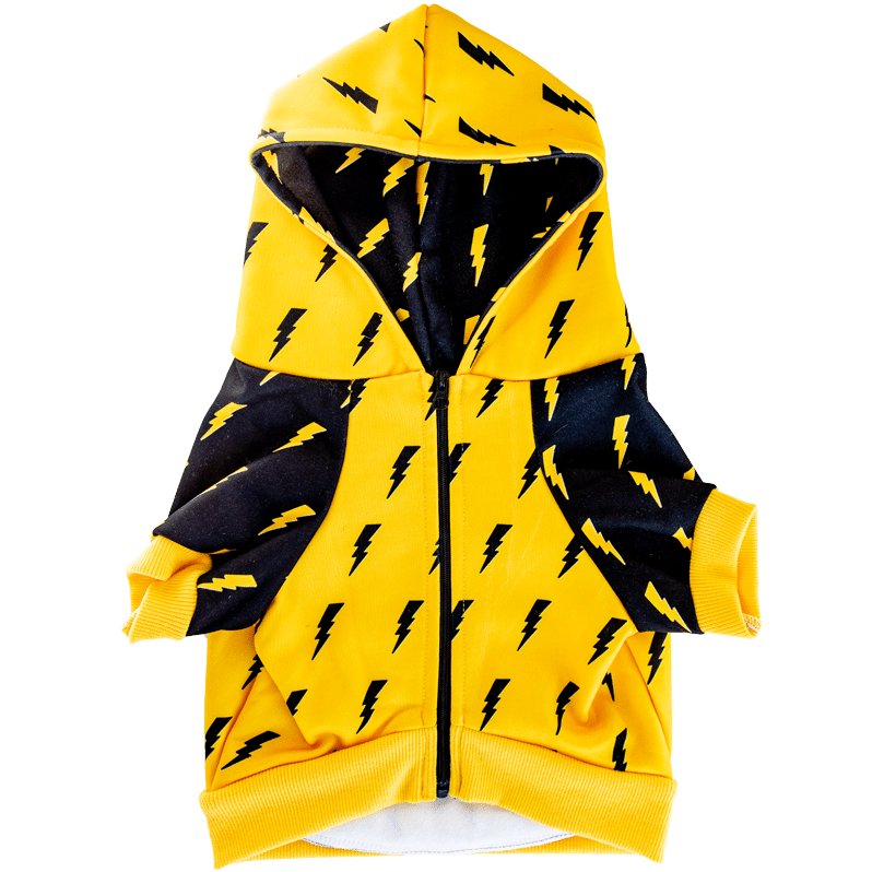 Pawgwarts Dog Hoodie – Lightning Bolt Pet Sweater | Cute Dog Outfit