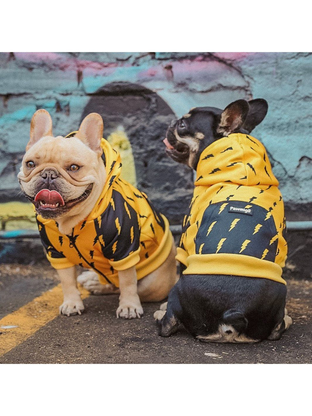 Pawgwarts Dog Hoodie – Lightning Bolt Pet Sweater | Cute Dog Outfit