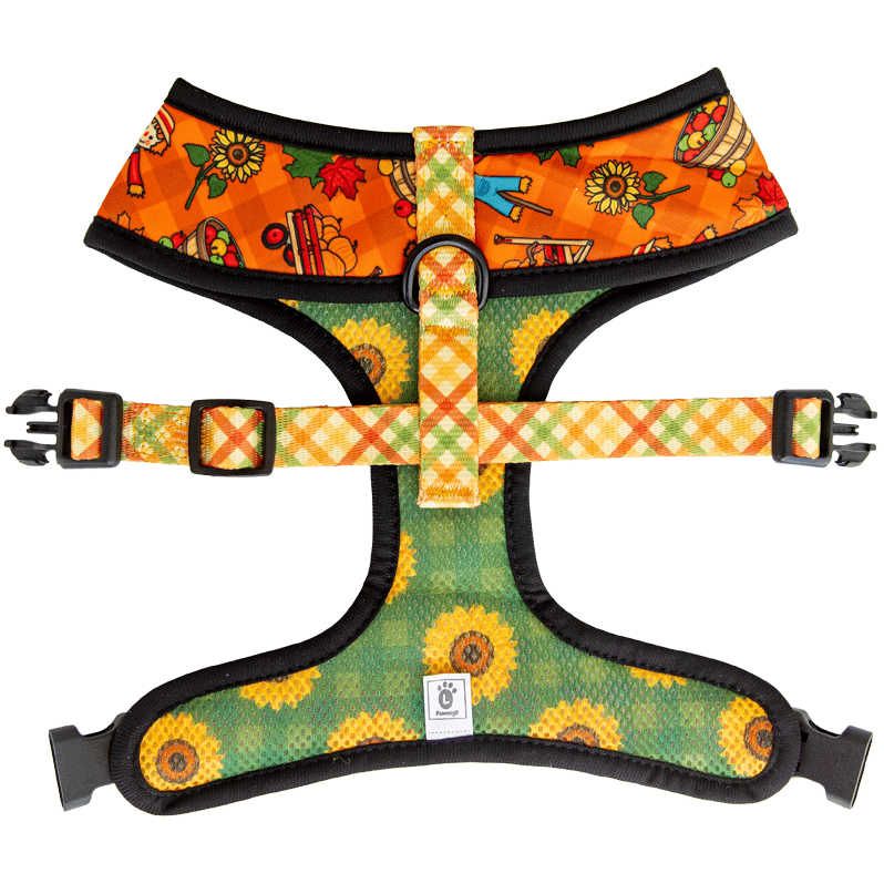 Pupkin Patch Reversible Dog Harness – Cute Halloween Pet Harness