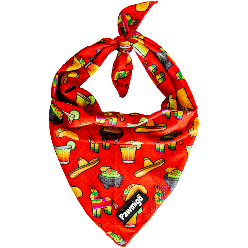 Taco Tuesday Cooling Dog Bandana – Cute Food-Themed Pet Accessory