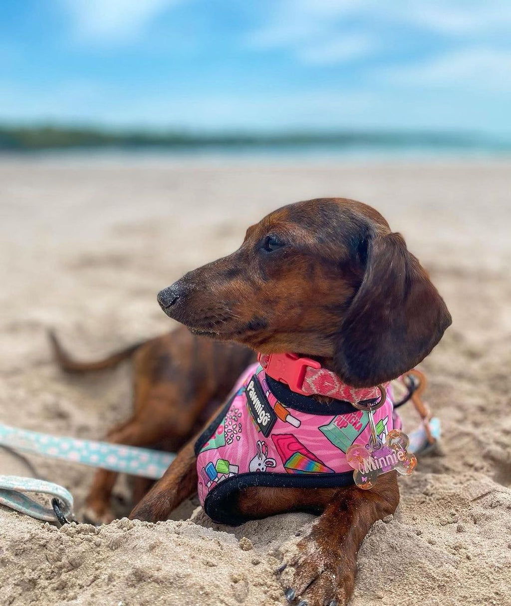 Slumber Pawty Reversible Dog Harness – Cute & Cozy Pet Harness