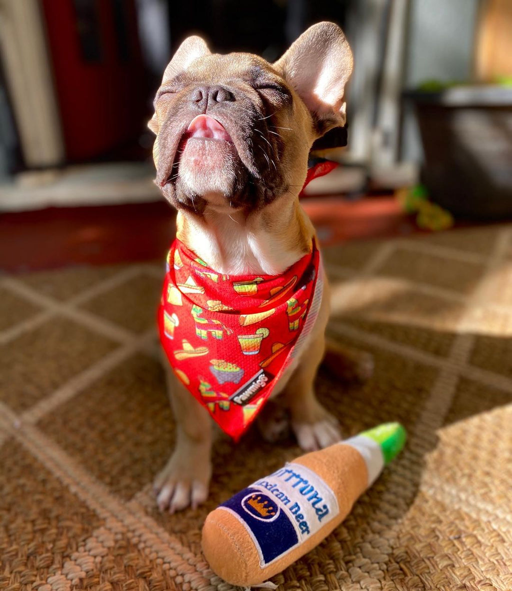 Taco Tuesday Cooling Dog Bandana – Cute Food-Themed Pet Accessory
