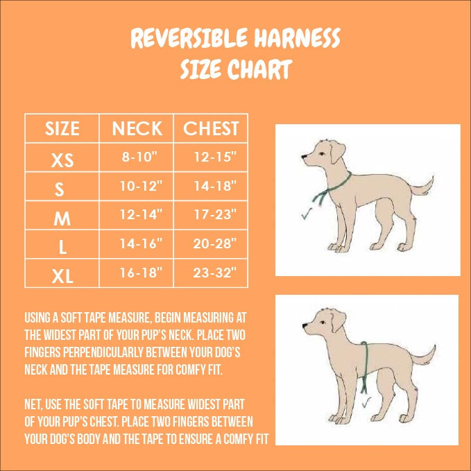 Frootie Patootie Reversible Dog Harness – Cute & Comfortable Pet Harness