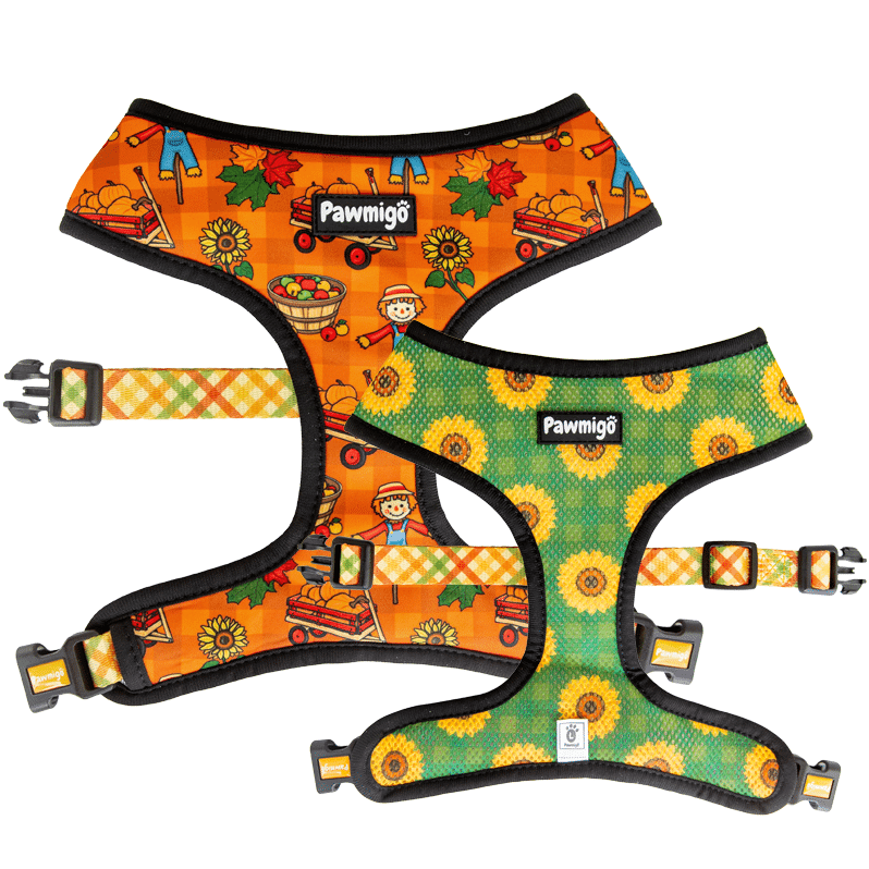 Pupkin Patch Reversible Dog Harness – Cute Halloween Pet Harness