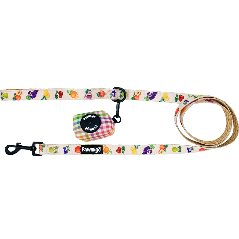 Frootie Patootie Dog Leash Kit – Cute & Colorful Pet Leash Set