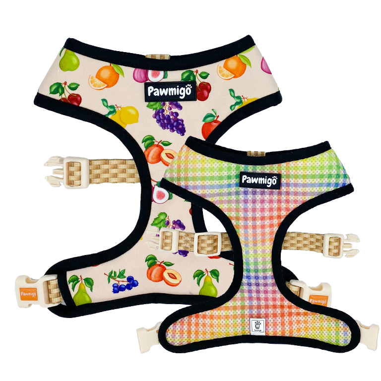 Frootie Patootie Reversible Dog Harness – Cute & Comfortable Pet Harness